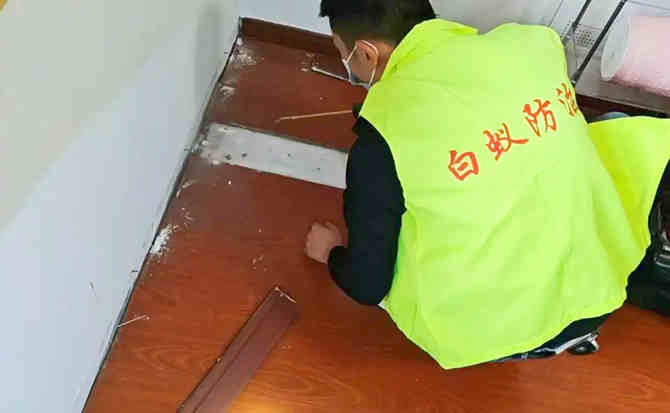 家具地板白蚁防治案例